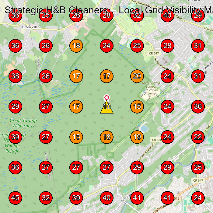 Strategic H&B Cleaners GeoGrid visibility map for House Cleaning Service in None
